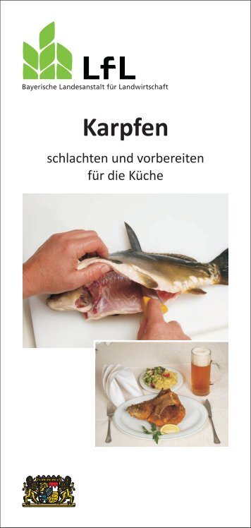 Karpfen schlachten und vorbereiten für die Küche - Bayerische ...