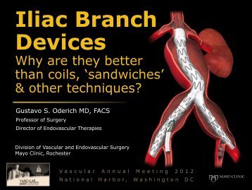 Iliac Branch Devices - VascularWeb