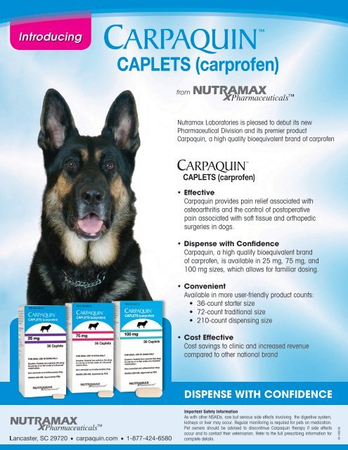 carprofen high
