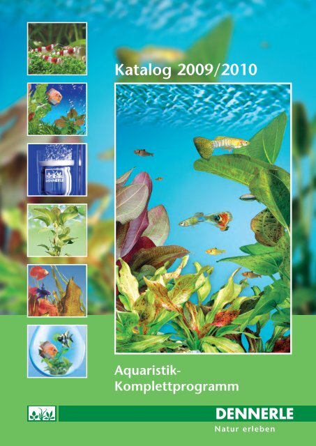 10 Stücke Terminalia Blatt Aquarium Reinigung Reiniger Reduzieren