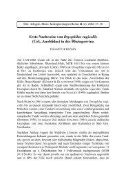 Erste Nachweise von Dryophilus rugicollis - Koleopterologie.de