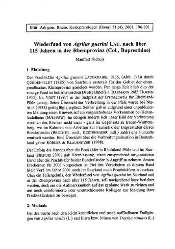 Wiederfund von Agrilus guerini LAC. nach über - Koleopterologie.de