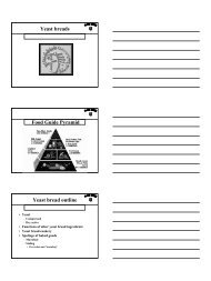 Yeast breads Food Guide Pyramid Yeast bread outline