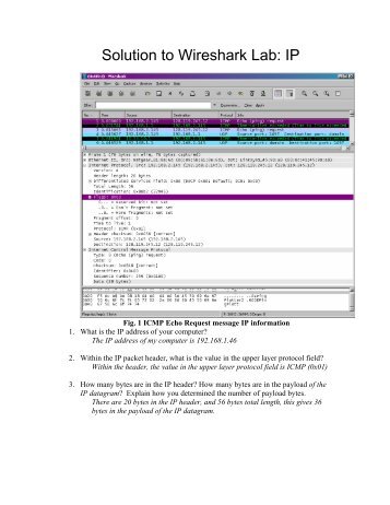 Solution to Wireshark Lab: IP