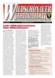 (3,24 MB) - .PDF - Gemeinde Wildschönau - Land Tirol