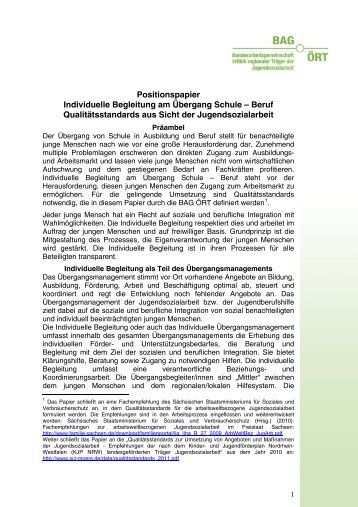 Positionspapier "Individuelle Begleitung am Übergang Schule/Beruf ...