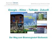 Dr. Olaf Schätzchen: Der Weg zum Bioenergiedorf Bollewick. Wege ...