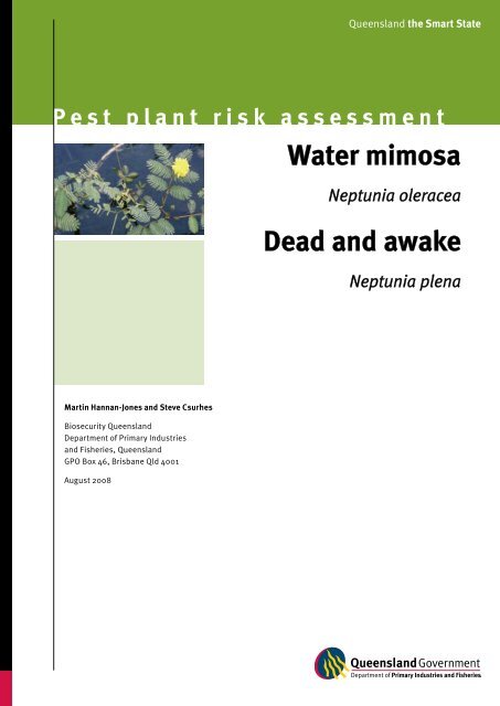 Water mimosa—Neptunia oleracea - Department of Primary Industries