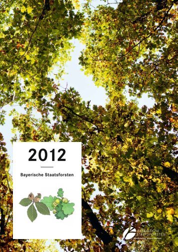 Download Jahresbericht 2012 - Bayerische Staatsforsten