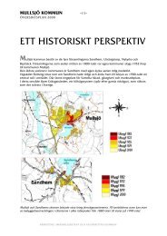 ETT HISTORISKT PERSPEKTIV - MullsjÃ¶ kommun