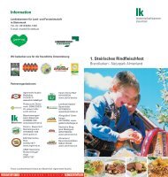 1. Steirisches Rindfleischfest - Landeskammer für Land- und ...