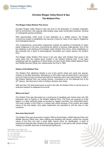 Wollemi Pine Fact Sheet - Wolgan Valley Resort & Spa