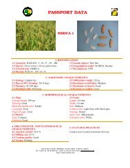 NERICA Passport Data (PDF) - Africa Rice Center - cgiar