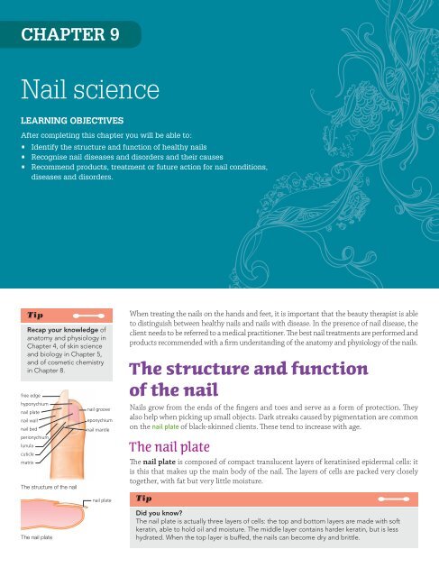 The purpose of the fingernail that it act as a protective plate and enhance  sensation of the fingertip. The nail acts as a counterforce to the  fingertip. - ppt download