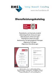 Dienstleistungskatalog - RMS Foundation