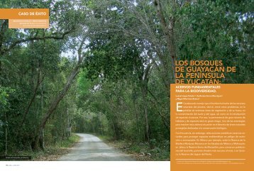 LOS BOSQUES DE GUAYACÁN DE LA PENÍNSULA DE YUCATÁN: