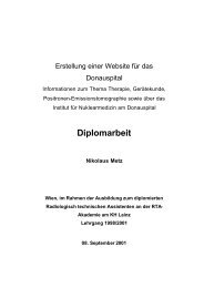 Diplomarbeit Nikolaus Metz - Wiener Krankenanstaltenverbund