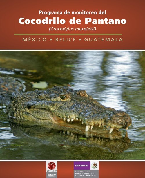 Cocodrilo de Pantano - Conabio