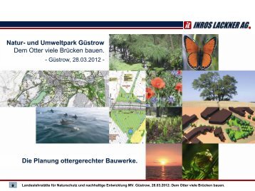 Natur- und Umweltpark Güstrow Dem Otter viele Brücken bauen ...