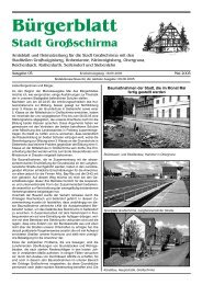 Bürgerblatt - Großschirma