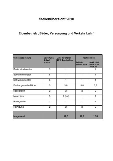 Haushaltsjahr 2010 - Stadt Lahr