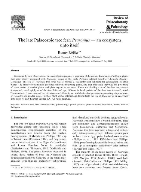 The late Palaeozoic tree fern Psaronius — an ecosystem unto itself