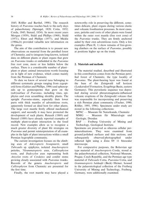 The late Palaeozoic tree fern Psaronius — an ecosystem unto itself