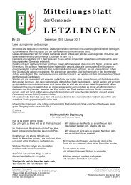 Mitteilungsblatt Nr.: 28 - Letzlingen