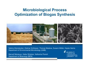 Microbiological Process Optimization of Biogas Synthesis