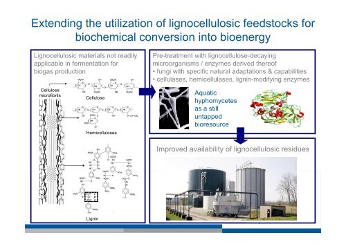 Microbiological Process Optimization of Biogas Synthesis