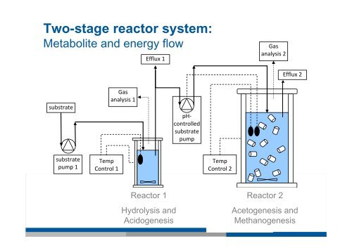 Microbiological Process Optimization of Biogas Synthesis