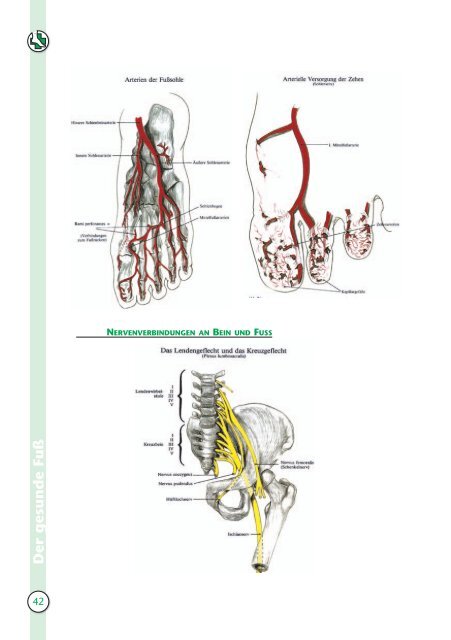 BfO Jahrbuch 2007 - Bundesfachschule für Orthopädie-Schuhtechnik