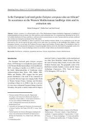 Euleptes europaea - Herpetology Notes