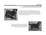 Historical photos.pub - Greater Swiss Mountain Dog Club of America