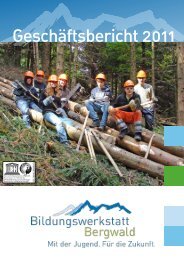 Geschäftsbericht 2011 (1.9MB) - Bildungswerkstatt Bergwald