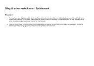 Bilag til erhvervsstrukturen i Syddanmark - BR Syddanmark