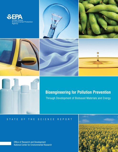 Bioengineering for Pollution Prevention (PDF) - US Environmental