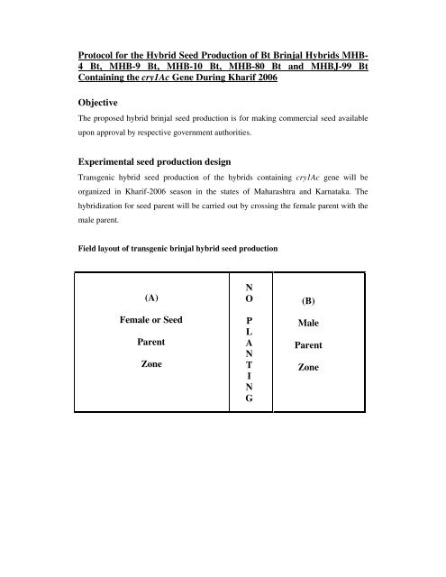 Protocol for the Hybrid Seed Production of Bt Brinjal Hybrids MHB- 4 ...