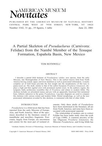 A Partial Skeleton of Pseudaelurus (Carnivora: Felidae) - American ...