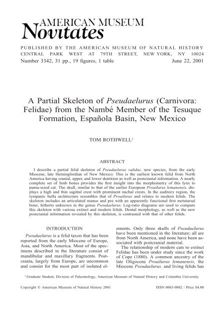 A Partial Skeleton of Pseudaelurus (Carnivora: Felidae) - American ...