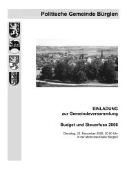 Budget 2006 - Gemeinde Bürglen