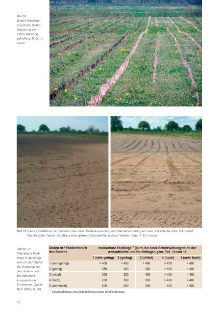 Winderosion in Schleswig-Holstein - Lehrstuhl für Physische ...