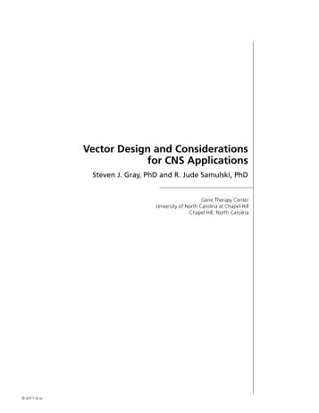 Vector Design and Considerations for CNS Applications