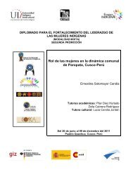 libro PDF - Fondo Indígena