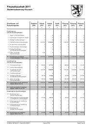 Finanzplan SEH 2011