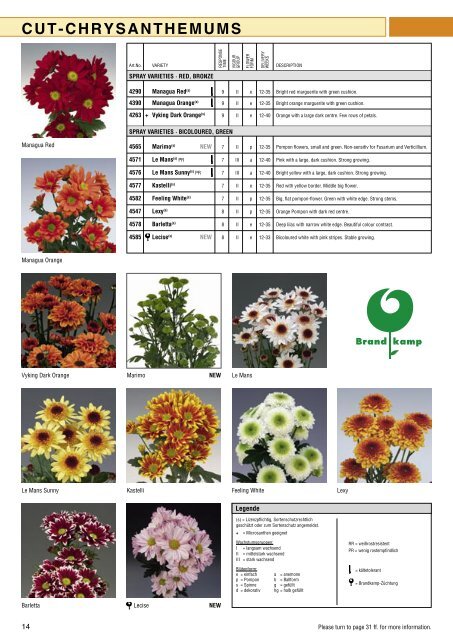 Brandkamp Katalog Chrysanthemen 2009 englisch - Wesna, sro