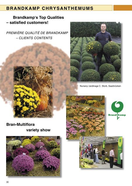 Brandkamp Katalog Chrysanthemen 2009 englisch - Wesna, sro