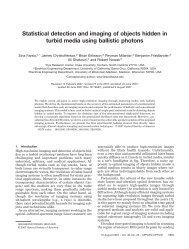 Statistical detection and imaging of objects hidden in turbid media ...