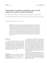 Determination of vanadium accumulation in onion root cells - Cricyt