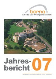 Jahresbericht 2007 - Borna